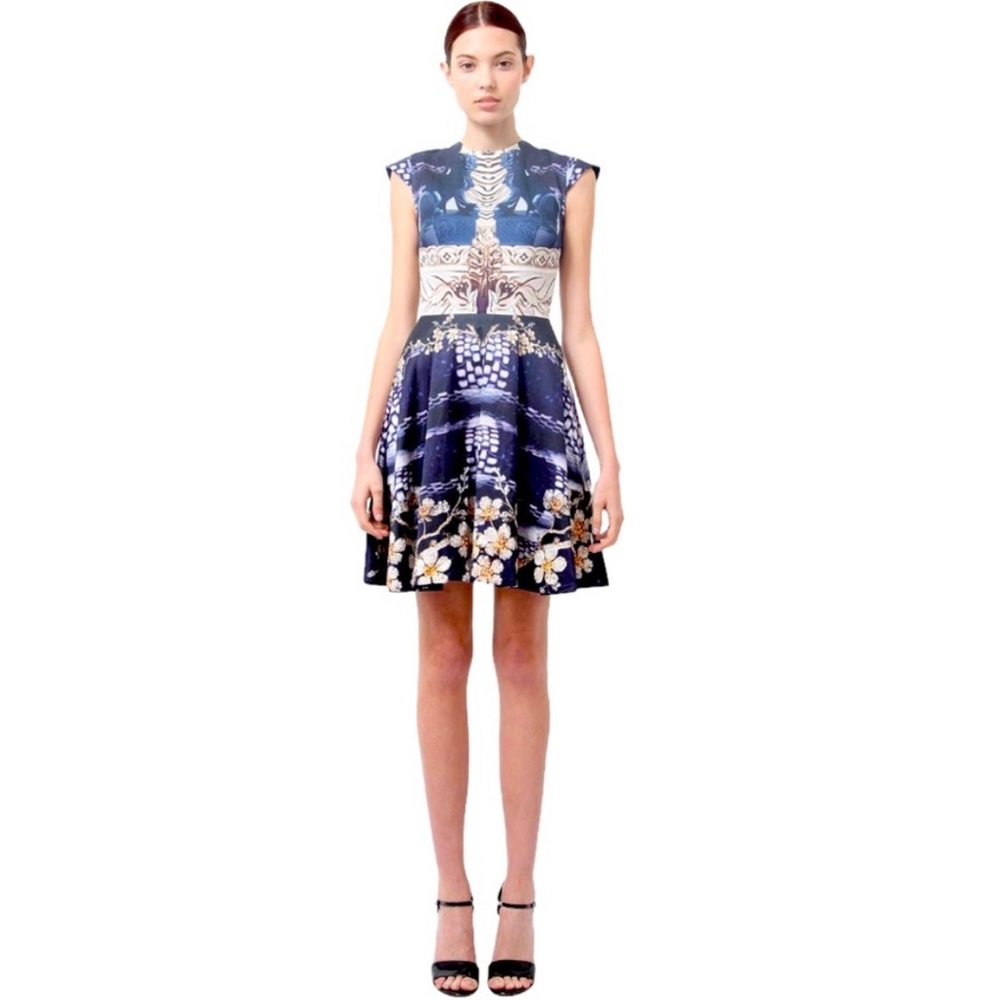 Mary Katrantzou Dress Floral Print A Line Babe Iona